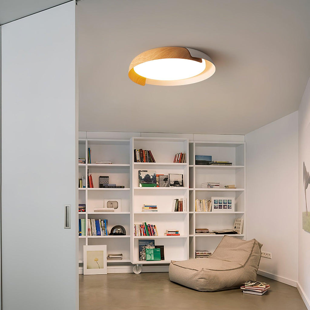 Contemporary Ceiling Light With Metal And Acrylic Dimmable
