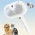 Self-Cleaning Grooming Brush — Silicone Massage Bristles, Integrated Mist Sprayer, One-Touch Fur Extraction