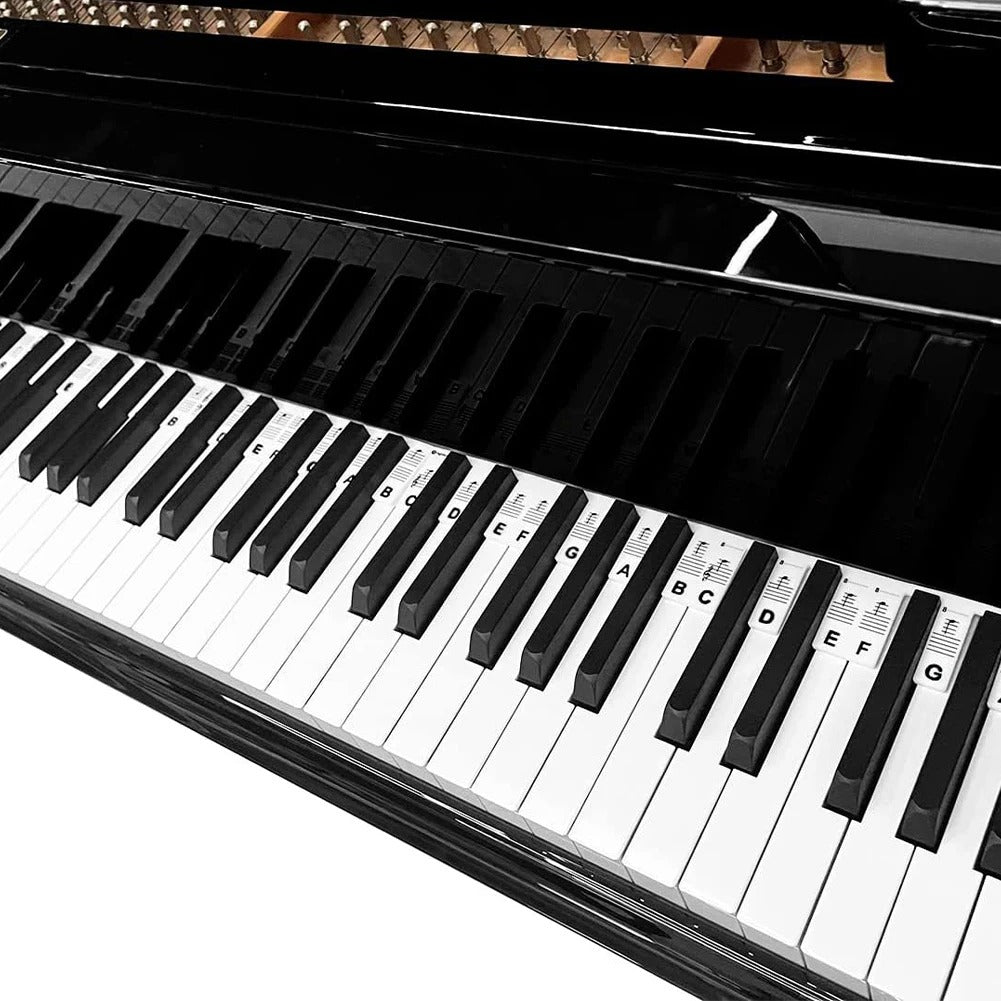 Piano Keyboard Stickers Silicone Note Labels Key Learning | Meowbutter