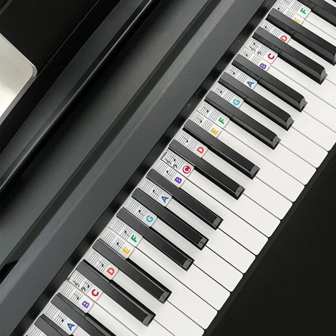 Piano Keyboard Stickers Silicone Note Labels Key Learning | Meowbutter