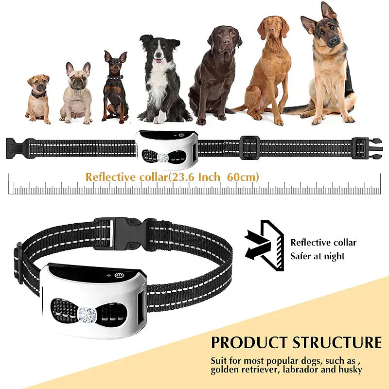 Bezprzewodowy ogrodzenie dla psa i obroża treningowa - wodoodporność IP65 - zasięg 300 m - ładowalna - dla 1 lub 2 psów | meowbutter
