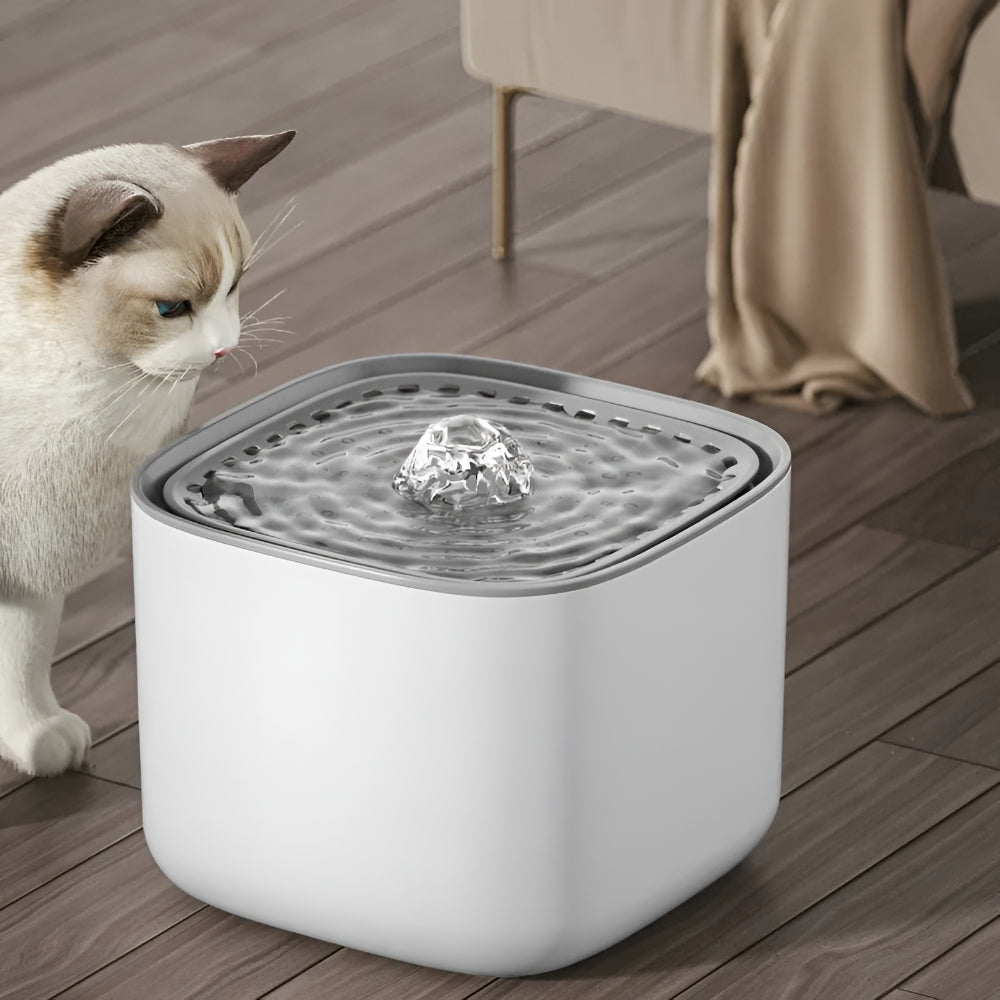 Pet Fountain Automatic Water Dispenser Drinking Bowl | Meowbutter