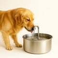 Pet Water Fountain Stainless Steel Automatic Drinking Bowl | Meowbutter