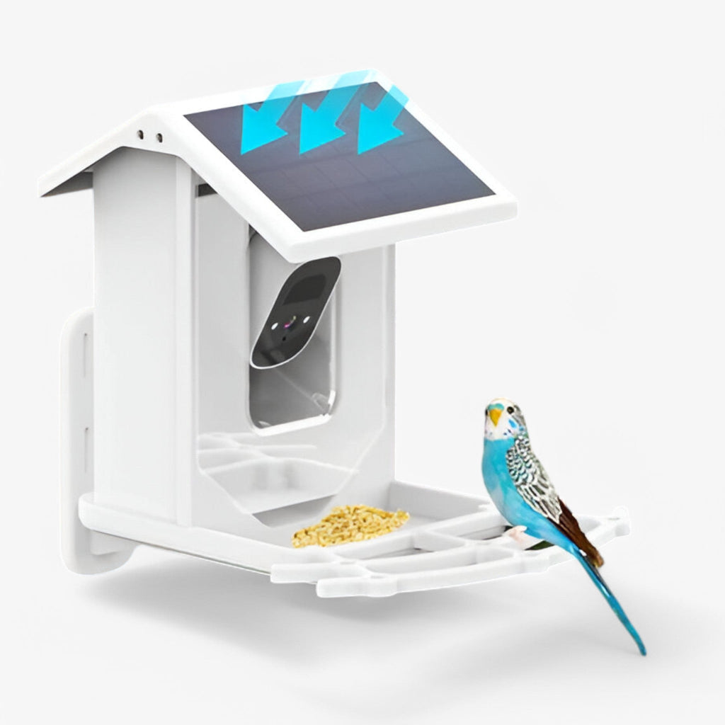 Smart Bird Feeder - 1080P HD Camera - AI Bird Recognition - Solar Powered - WiFi | meowbutter