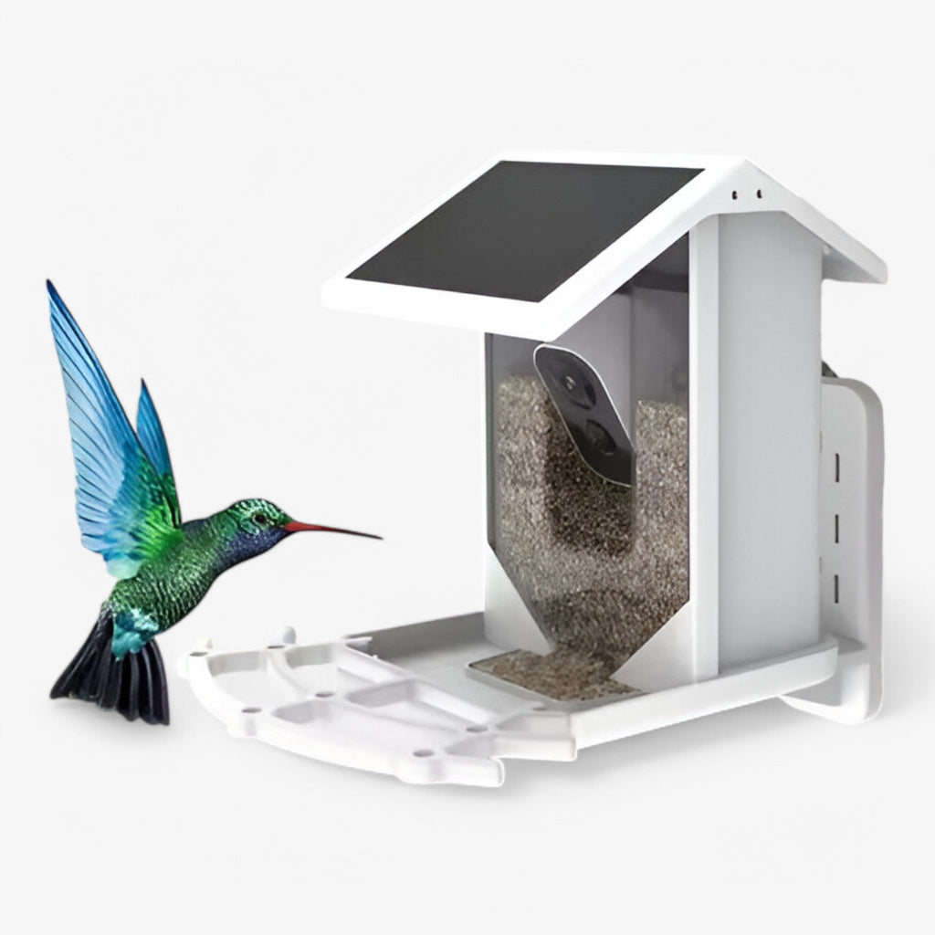 Smart Bird Feeder - 1080P HD Camera - AI Bird Recognition - Solar Powered - WiFi | meowbutter
