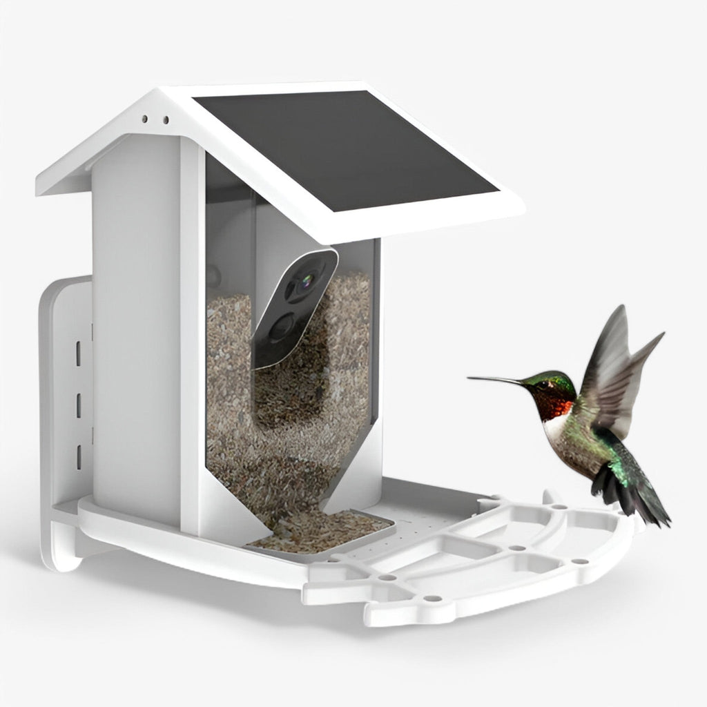 Smart Bird Feeder - 1080P HD Camera - AI Bird Recognition - Solar Powered - WiFi | meowbutter