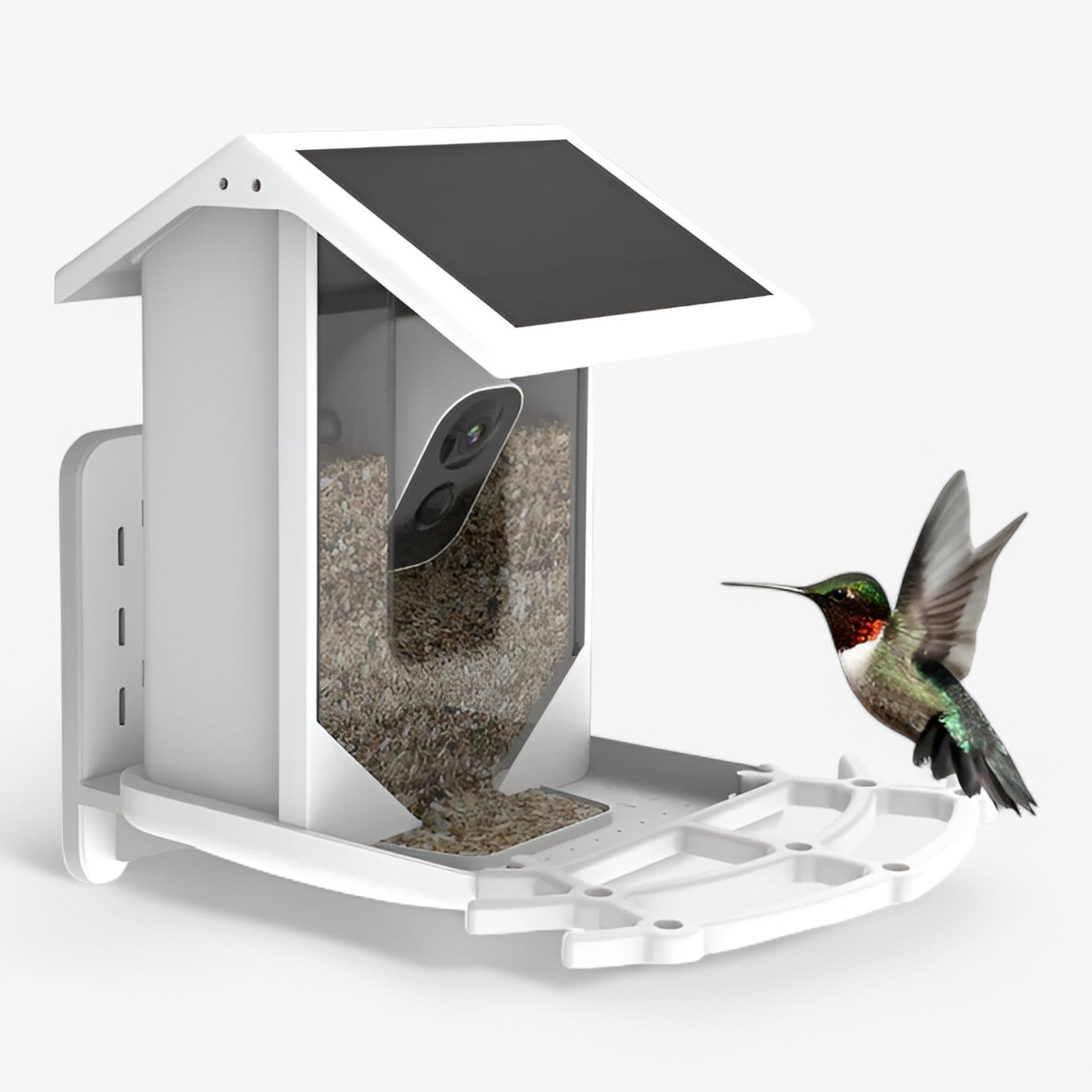 Smart Bird Feeder - 1080P HD Camera - AI Bird Recognition - Solar Powered - WiFi | meowbutter