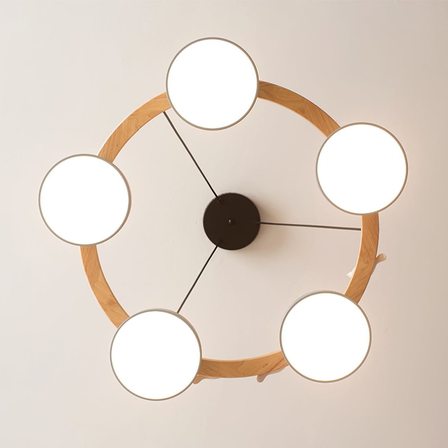 Ravella Round Bird Chandelier | Orntli