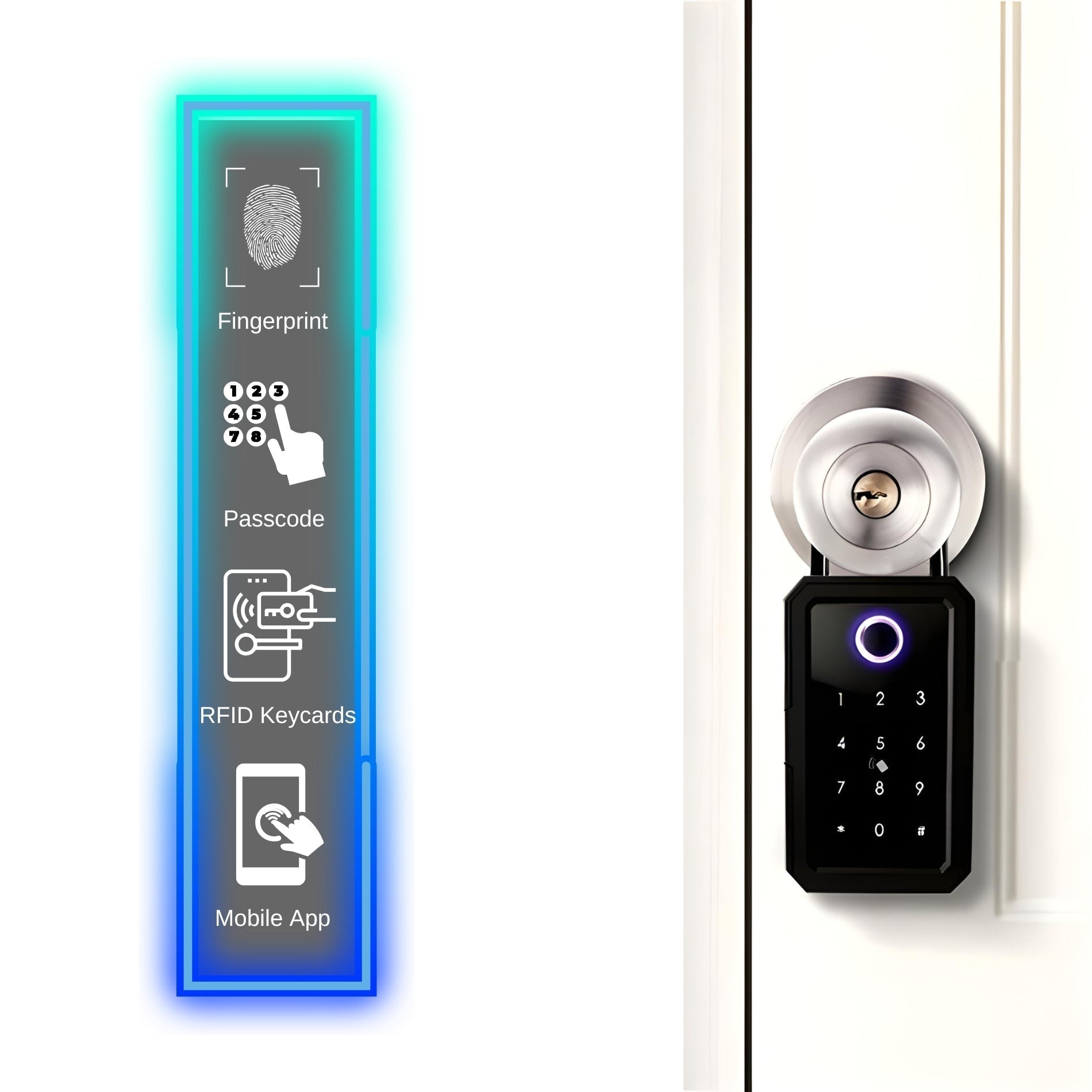 Smart Key Lockbox - Accesso Wi-Fi e impronta digitale - Controllo tramite app - Codice di accesso - Con o senza gateway | meowbutter