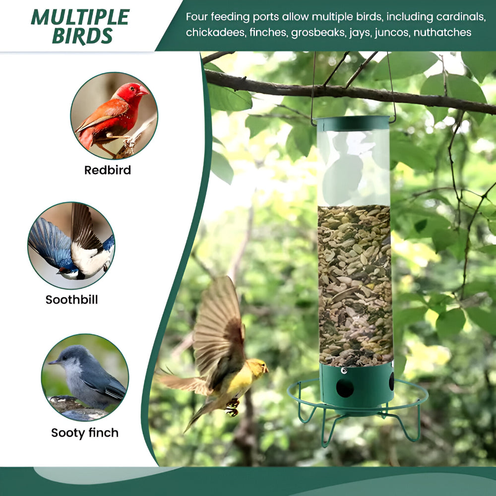 Bird Feeder Metal Squirrel Proof Hanging Outdoor Backyard Tube | Meowbutter