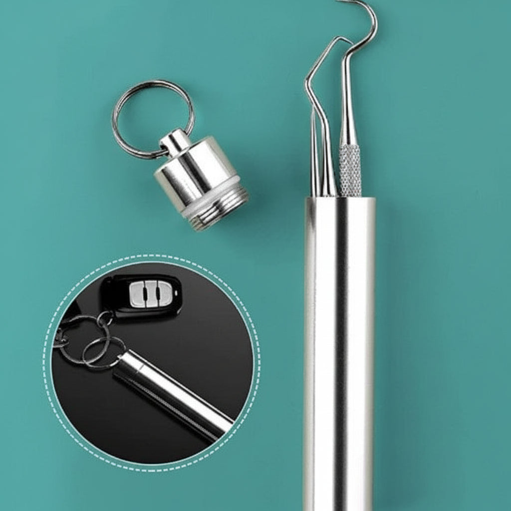 Durable Stainless Steel Toothpick Set — Reusable Metal Picks in Compact Travel Case
