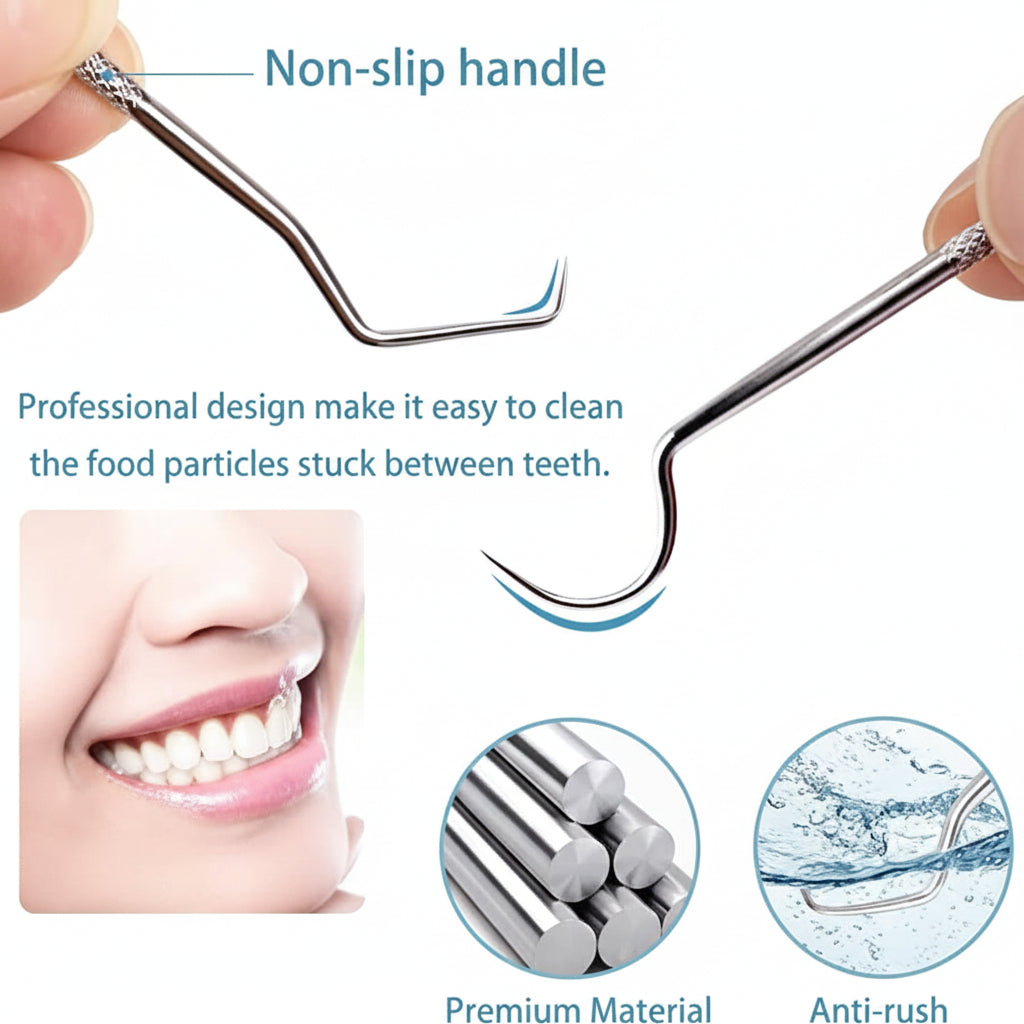 Durable Stainless Steel Toothpick Set — Reusable Metal Picks in Compact Travel Case