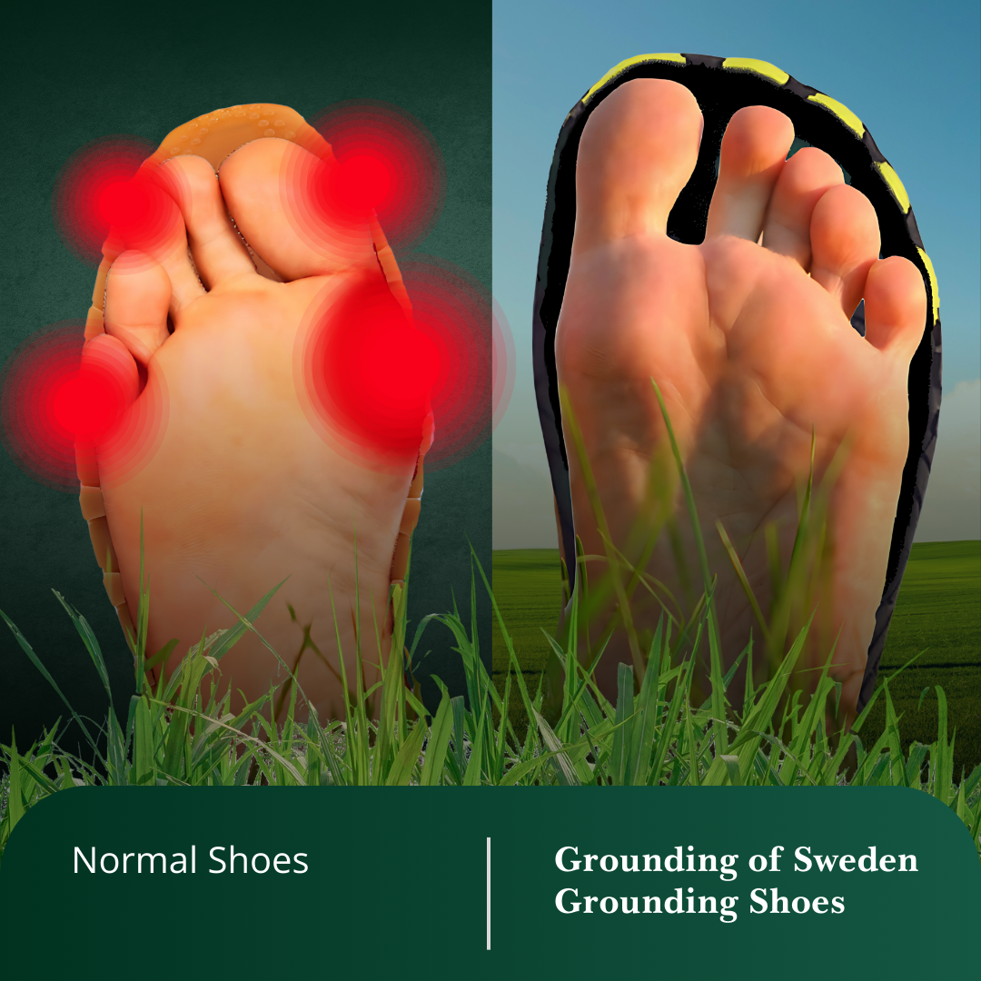 Premium Grounding Barefoot Shoes for Natural Posture, Daily Comfort, and Wellness Support