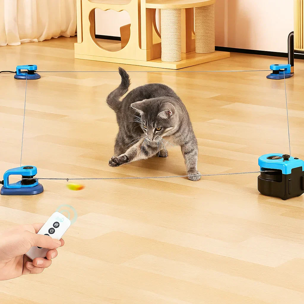 Indoor Cat Exercise Toy To Fight Obesity And Protect Your Furniture