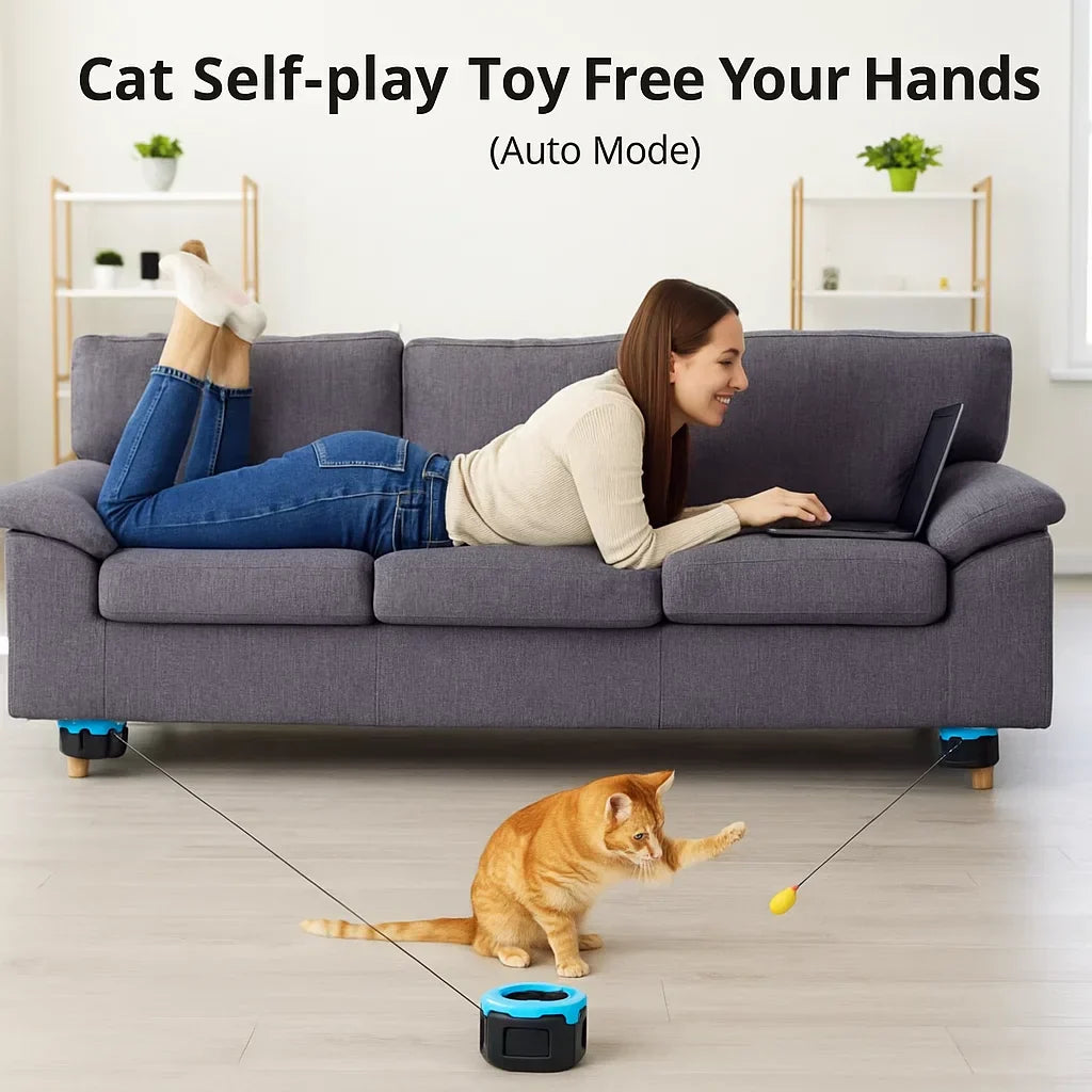 Indoor Cat Exercise Toy To Fight Obesity And Protect Your Furniture