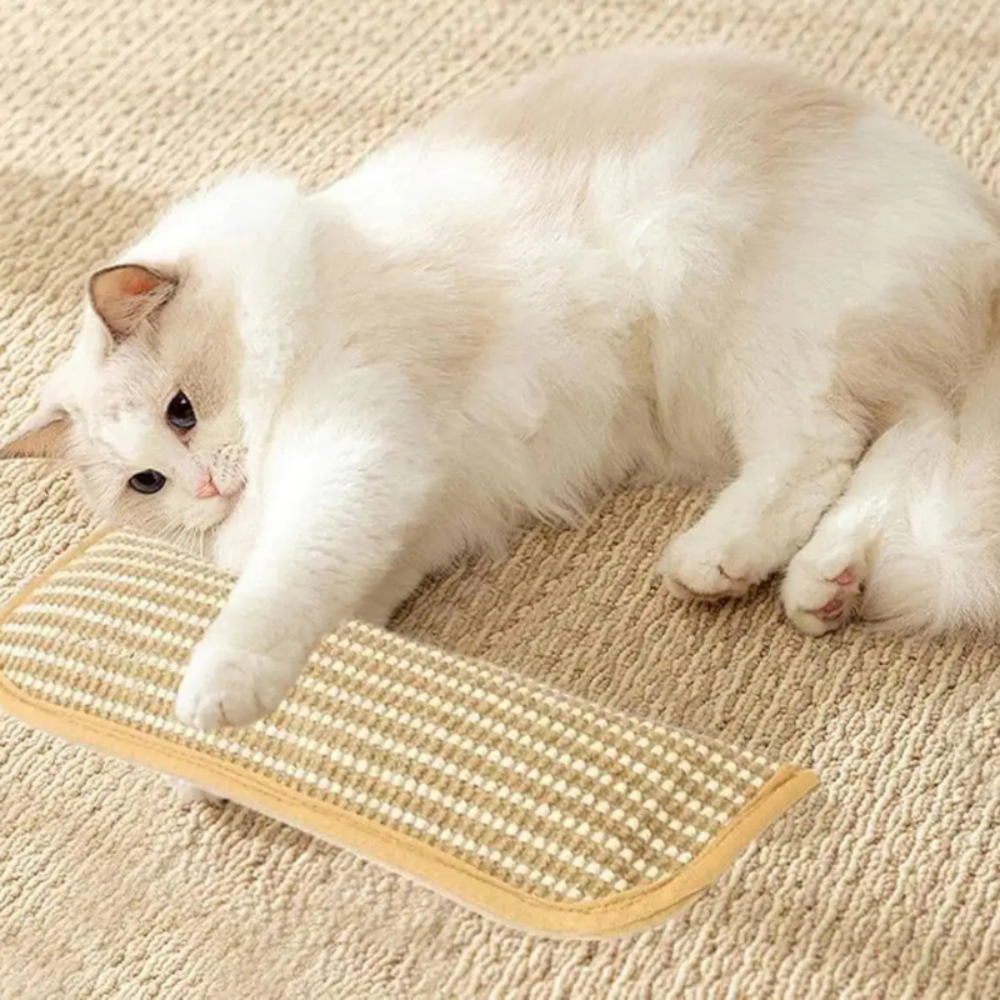 Katzenkratzkissen – weiche Ruhepolsterung und strapazierfähige strukturierte Oberfläche