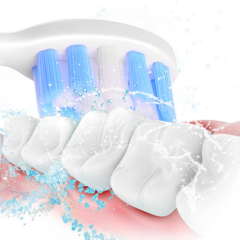 Sonic Electric Toothbrush - 4 Brush Heads & Storage Box - Rechargeable Adult Design | meowbutter