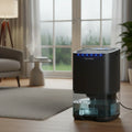 Dehumidifier Portable Dehumidifier Home Compact | Meowbutter