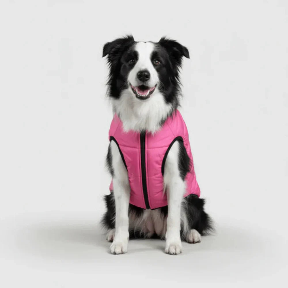 Chaqueta de invierno adaptable para perros de tres capas — Exterior resistente, forro térmico desmontable