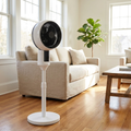 Ventilatore a piantana - Altezza regolabile - Oscillante - Telecomando - Silenzioso | meowbutter