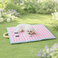 Tappetino Rinfrescante per Cani e Gatti Traspirante Pieghevole Portatile | Meowbutter