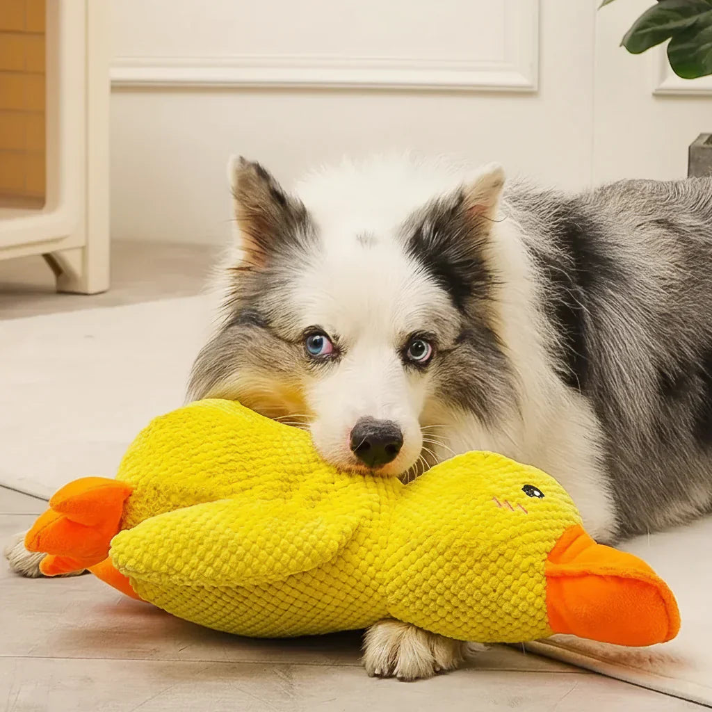 Calming Dog Toy Quacking Sound Chewing Play | Meowbutter
