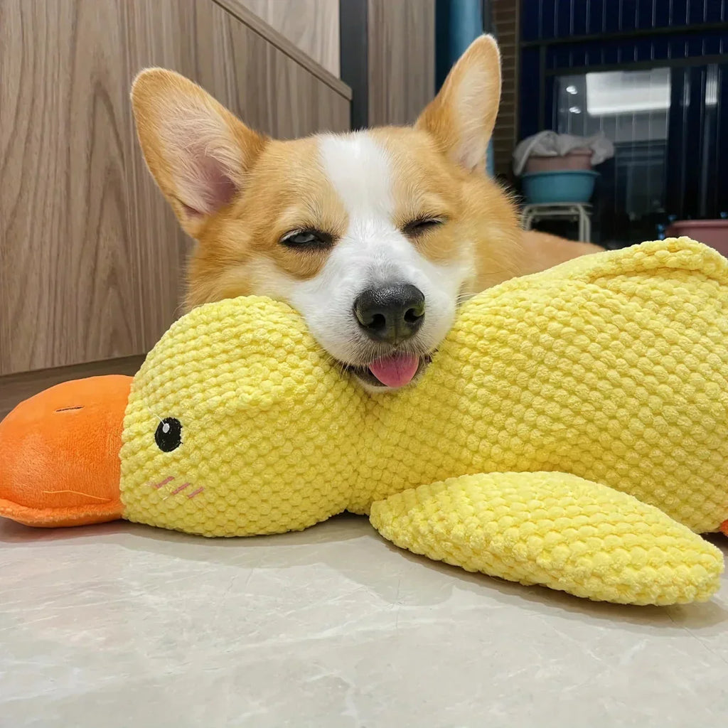 Calming Dog Toy Quacking Sound Chewing Play | Meowbutter