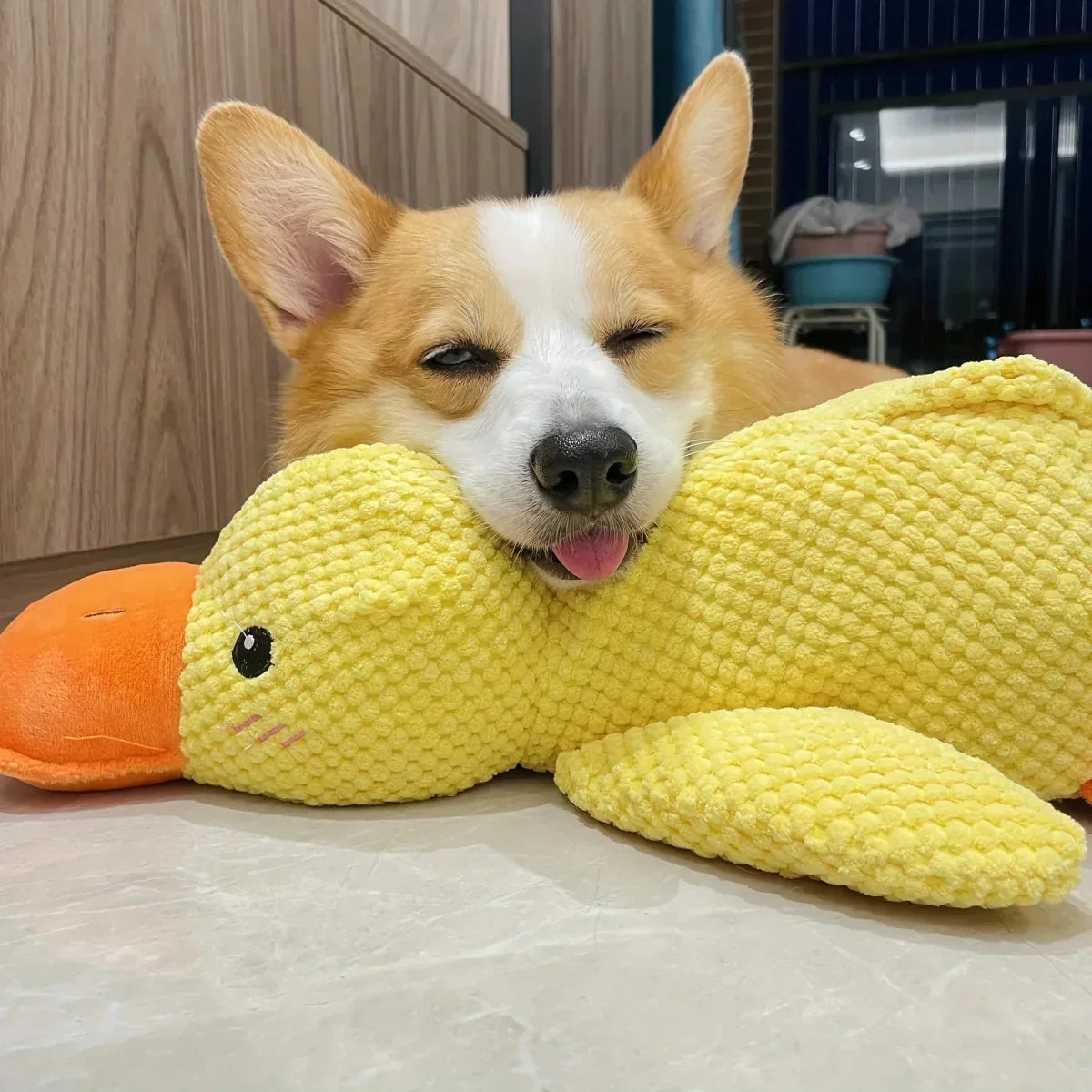 Calming Dog Toy Quacking Sound Chewing Play | Meowbutter