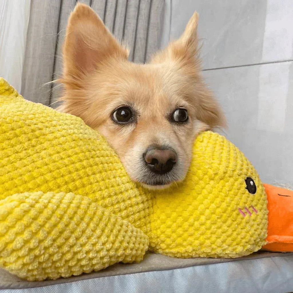 Calming Dog Toy Quacking Sound Chewing Play | Meowbutter