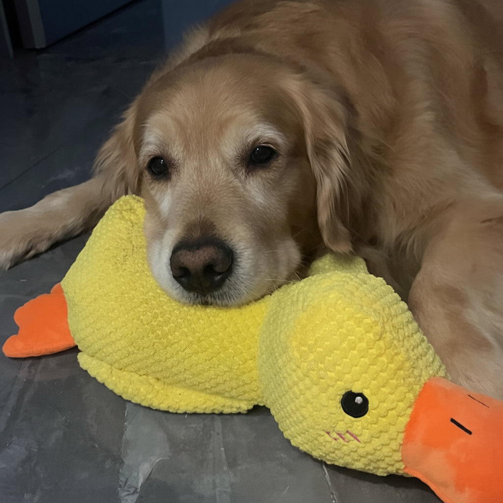 Calming Dog Toy Quacking Sound Chewing Play | Meowbutter