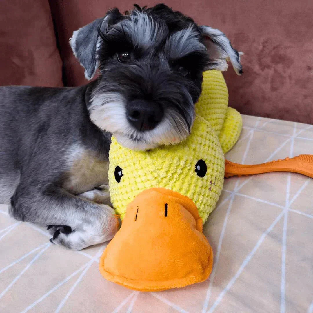Calming Dog Toy Quacking Sound Chewing Play | Meowbutter