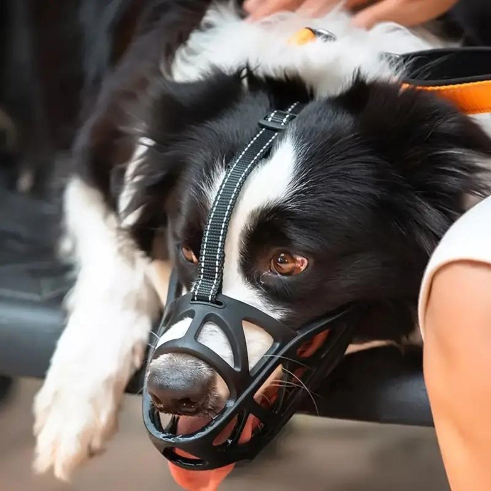 Museruola per Cani - Cinturino Regolabile per una Vestibilità Sicura - Sicura per l'Uso Quotidiano | meowbutter