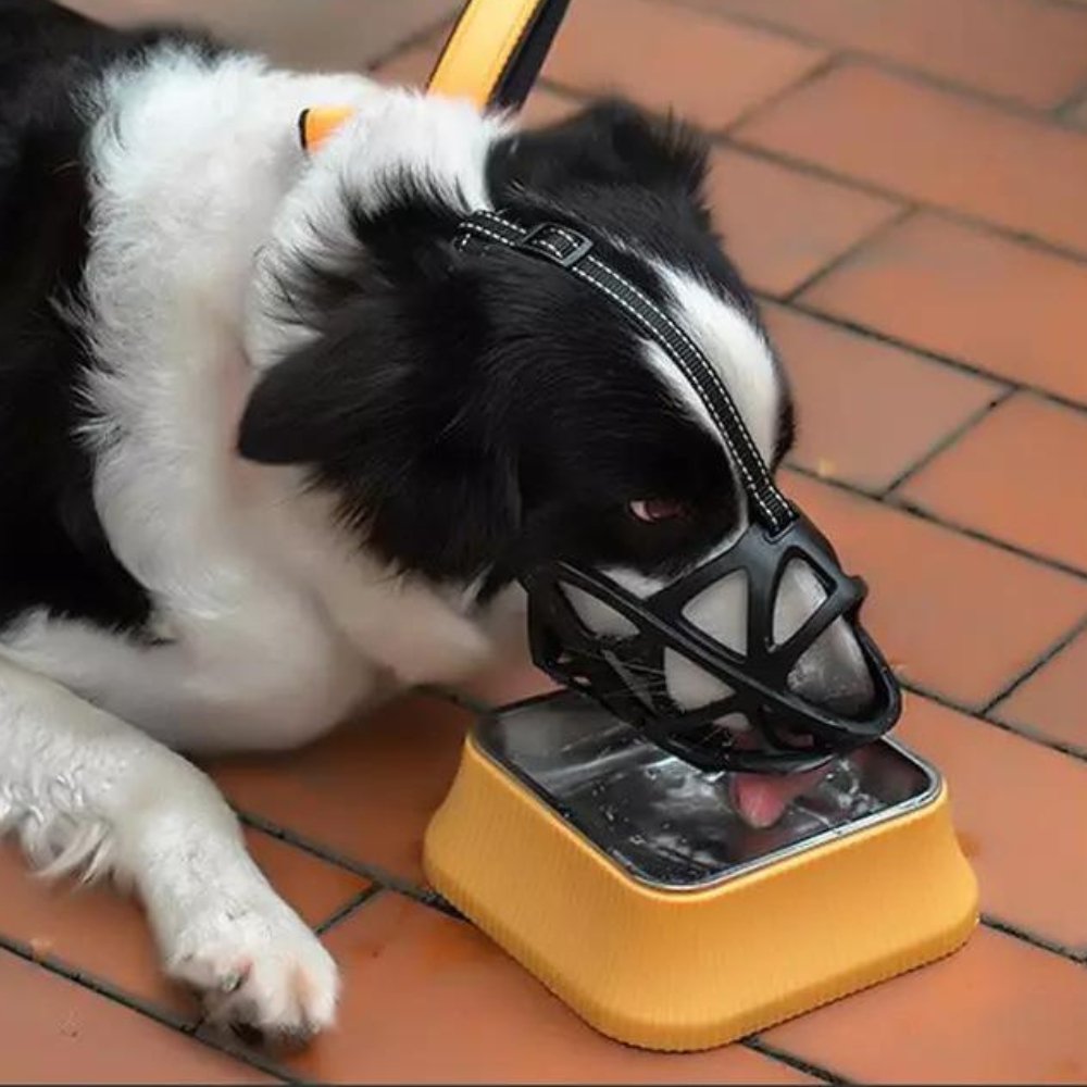 Museruola per Cani - Cinturino Regolabile per una Vestibilità Sicura - Sicura per l'Uso Quotidiano | meowbutter