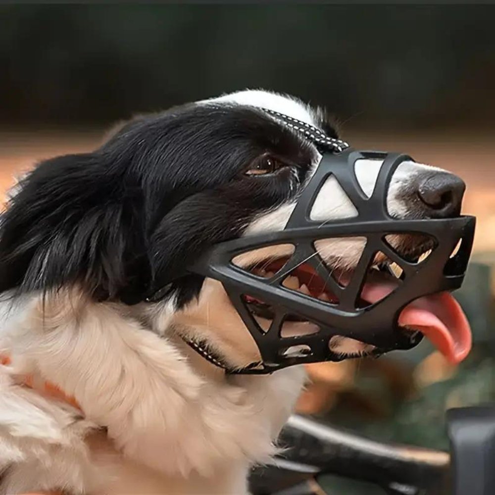 Museruola per Cani - Cinturino Regolabile per una Vestibilità Sicura - Sicura per l'Uso Quotidiano | meowbutter