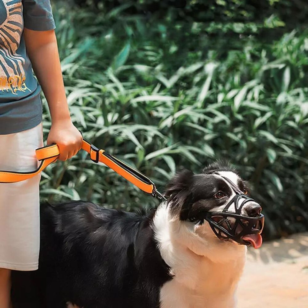 Museruola per Cani - Cinturino Regolabile per una Vestibilità Sicura - Sicura per l'Uso Quotidiano | meowbutter