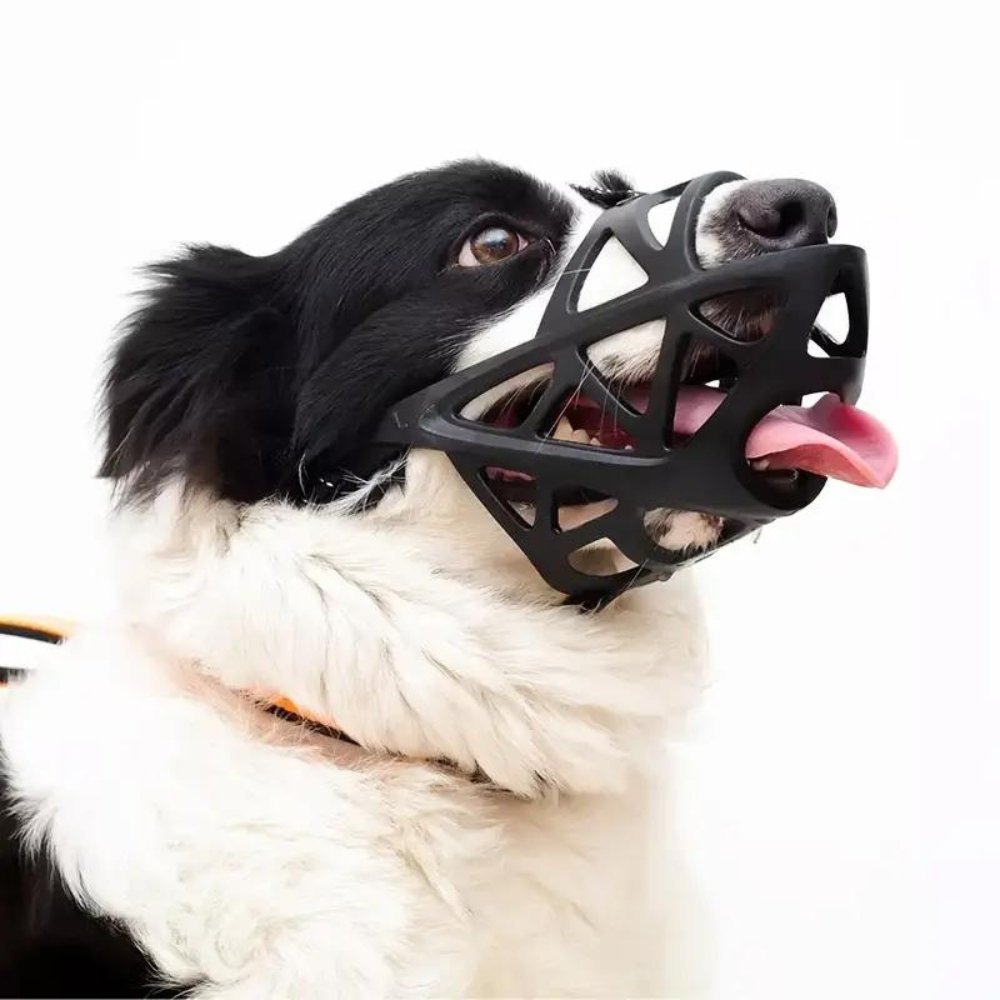 Museruola per Cani - Cinturino Regolabile per una Vestibilità Sicura - Sicura per l'Uso Quotidiano | meowbutter