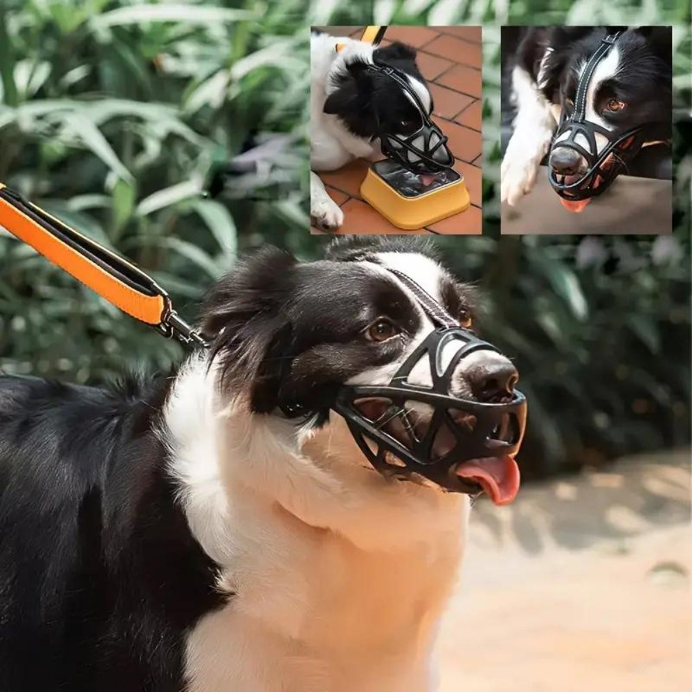 Museruola per Cani - Cinturino Regolabile per una Vestibilità Sicura - Sicura per l'Uso Quotidiano | meowbutter