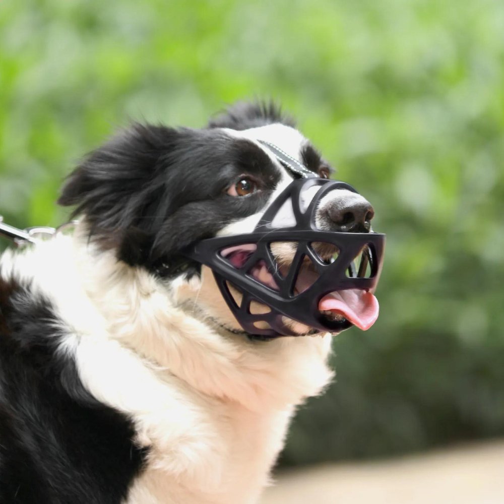 Museruola per Cani - Cinturino Regolabile per una Vestibilità Sicura - Sicura per l'Uso Quotidiano | meowbutter