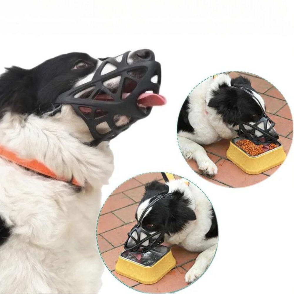 Museruola per Cani - Cinturino Regolabile per una Vestibilità Sicura - Sicura per l'Uso Quotidiano | meowbutter
