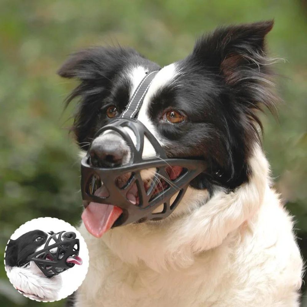 Museruola per Cani - Cinturino Regolabile per una Vestibilità Sicura - Sicura per l'Uso Quotidiano | meowbutter