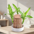 Wooden Tiered Plant Stand — Staggered Multi-Level Shelves